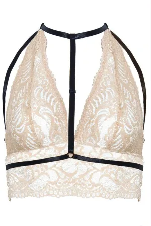 Odette Soft Nude Lace Bralette in 4X